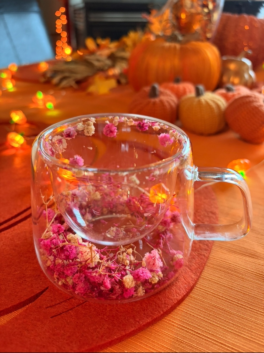 Dried Flower Double Walled Clear Cup with Handle